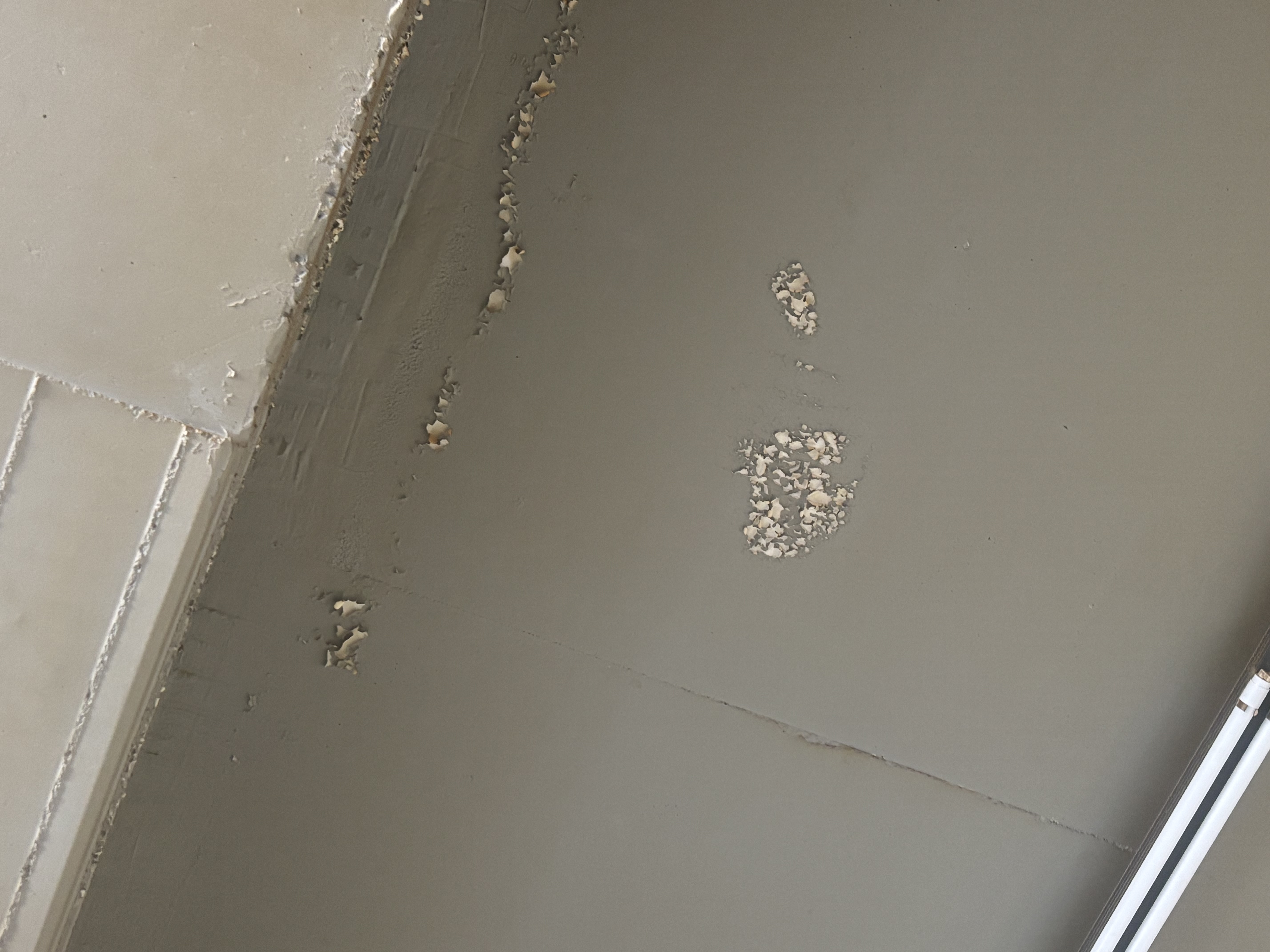 2 (5)_1762503683.jpg